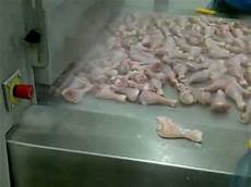 Iqf Freezer