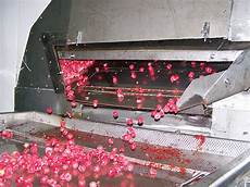 Iqf Freezers